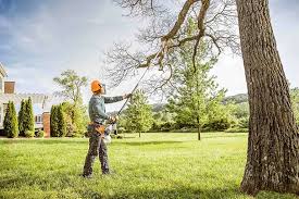 How Our Tree Care Process Works  in  Flemington, GA