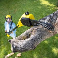 Best Seasonal Cleanup (Spring/Fall)  in Flemington, GA